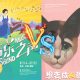 音乐剧《音乐之声》和《想变成人的猫》上海同日开演，风云骤起！